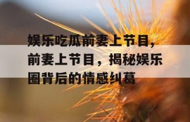 娱乐吃瓜前妻上节目,前妻上节目，揭秘娱乐圈背后的情感纠葛