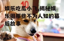 娱乐吃瓜小飞,揭秘娱乐圈那些不为人知的幕后故事