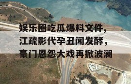 娱乐圈吃瓜爆料文件,江疏影代孕丑闻发酵，豪门恩怨大戏再掀波澜