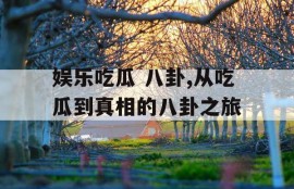 娱乐吃瓜 八卦,从吃瓜到真相的八卦之旅