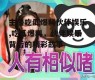 主播吃瓜爆料伙伴娱乐,吃瓜爆料，伙伴娱乐背后的精彩故事