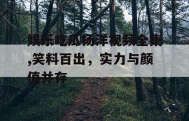 娱乐吃瓜杨洋视频全集,笑料百出，实力与颜值并存