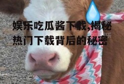 娱乐吃瓜酱下载,揭秘热门下载背后的秘密