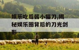 娱乐吃瓜酱小猫刀,揭秘娱乐圈背后的刀光剑影