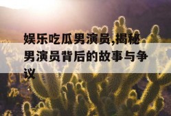 娱乐吃瓜男演员,揭秘男演员背后的故事与争议