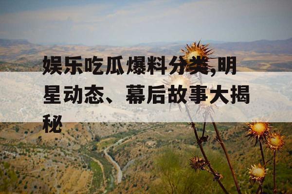 娱乐吃瓜爆料分类,明星动态、幕后故事大揭秘
