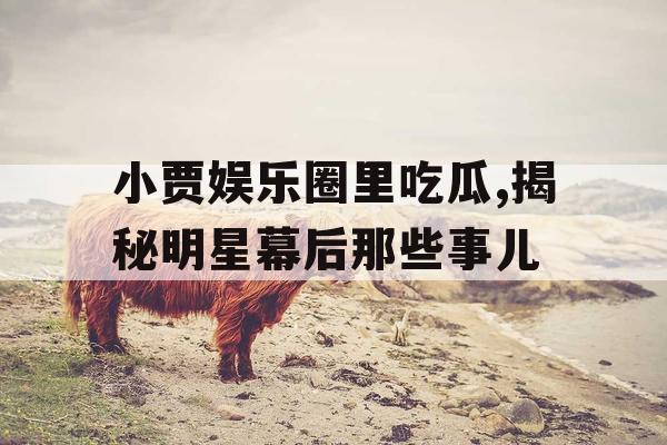 小贾娱乐圈里吃瓜,揭秘明星幕后那些事儿