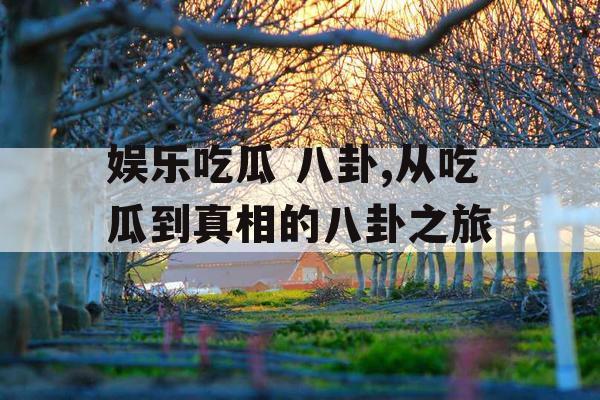 娱乐吃瓜 八卦,从吃瓜到真相的八卦之旅