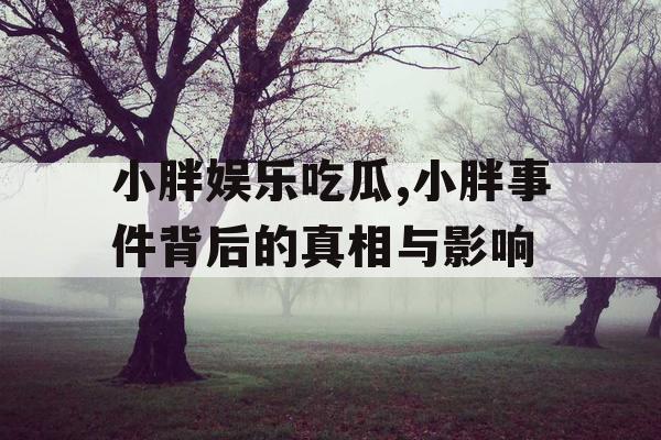小胖娱乐吃瓜,小胖事件背后的真相与影响