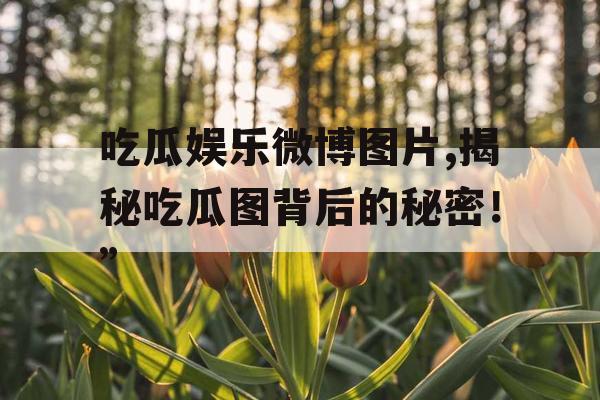 吃瓜娱乐微博图片,揭秘吃瓜图背后的秘密！”