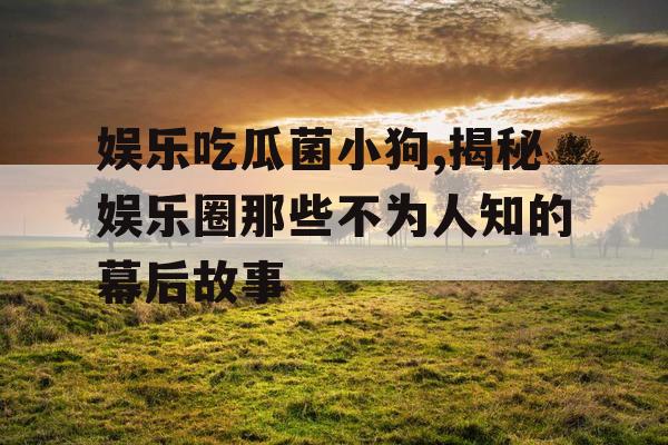 娱乐吃瓜菌小狗,揭秘娱乐圈那些不为人知的幕后故事