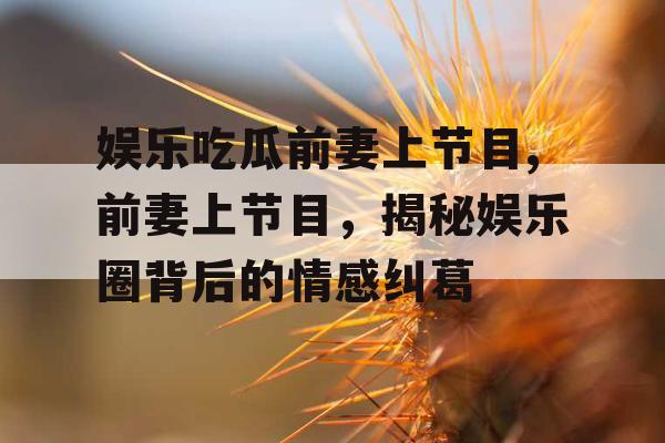 娱乐吃瓜前妻上节目,前妻上节目，揭秘娱乐圈背后的情感纠葛