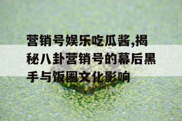 营销号娱乐吃瓜酱,揭秘八卦营销号的幕后黑手与饭圈文化影响