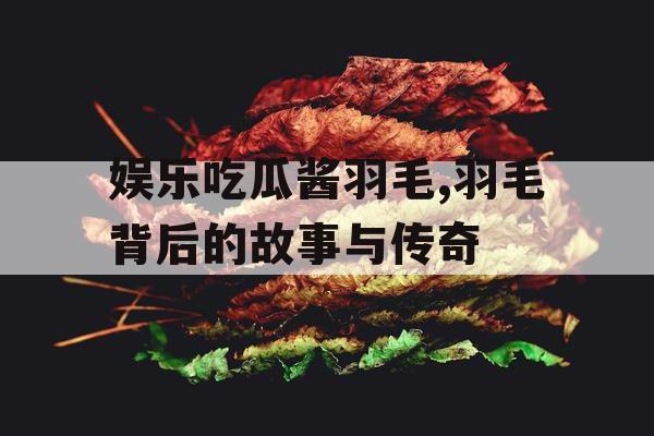 娱乐吃瓜酱羽毛,羽毛背后的故事与传奇