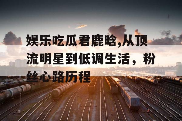 娱乐吃瓜君鹿晗,从顶流明星到低调生活，粉丝心路历程