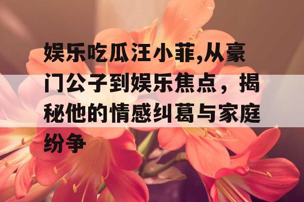 娱乐吃瓜汪小菲,从豪门公子到娱乐焦点，揭秘他的情感纠葛与家庭纷争