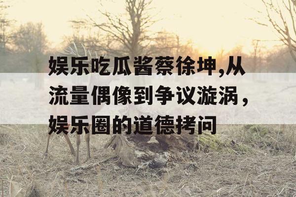 娱乐吃瓜酱蔡徐坤,从流量偶像到争议漩涡，娱乐圈的道德拷问