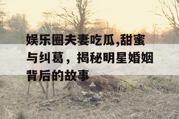 娱乐圈夫妻吃瓜,甜蜜与纠葛，揭秘明星婚姻背后的故事
