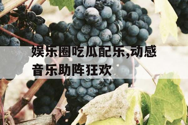 娱乐圈吃瓜配乐,动感音乐助阵狂欢