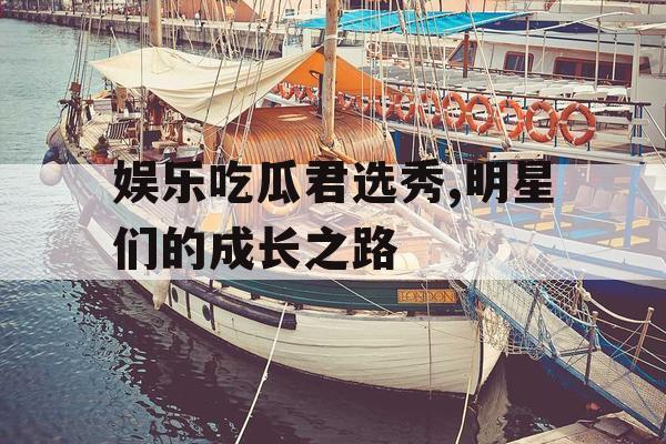 娱乐吃瓜君选秀,明星们的成长之路