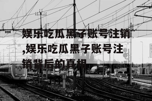 娱乐吃瓜黑子账号注销,娱乐吃瓜黑子账号注销背后的真相