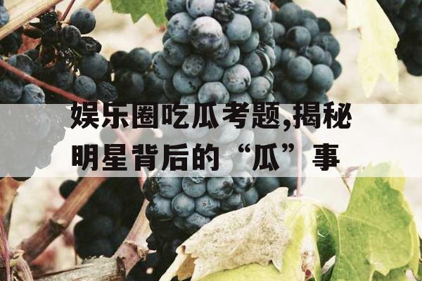 娱乐圈吃瓜考题,揭秘明星背后的“瓜”事