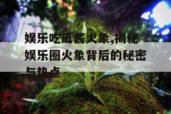娱乐吃瓜酱火象,揭秘娱乐圈火象背后的秘密与热点