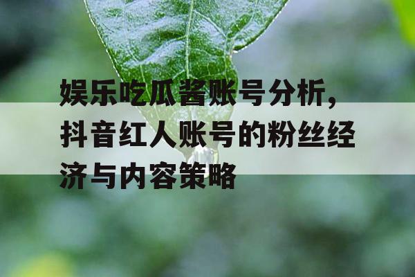 娱乐吃瓜酱账号分析,抖音红人账号的粉丝经济与内容策略