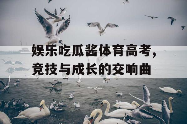 娱乐吃瓜酱体育高考,竞技与成长的交响曲