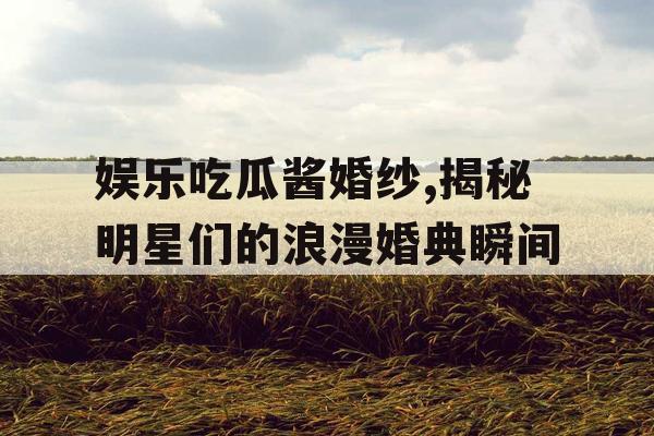 娱乐吃瓜酱婚纱,揭秘明星们的浪漫婚典瞬间
