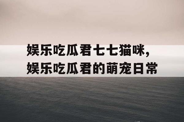 娱乐吃瓜君七七猫咪,娱乐吃瓜君的萌宠日常