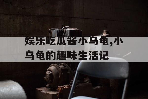 娱乐吃瓜酱小乌龟,小乌龟的趣味生活记