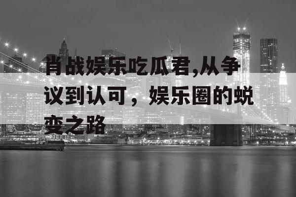 肖战娱乐吃瓜君,从争议到认可，娱乐圈的蜕变之路