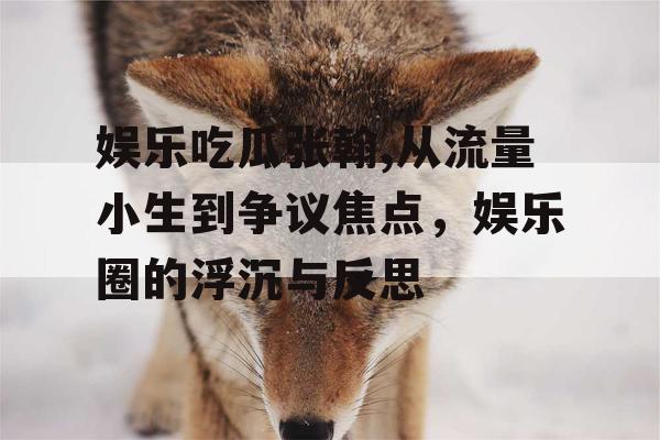 娱乐吃瓜张翰,从流量小生到争议焦点，娱乐圈的浮沉与反思