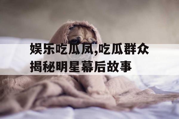 娱乐吃瓜凤,吃瓜群众揭秘明星幕后故事