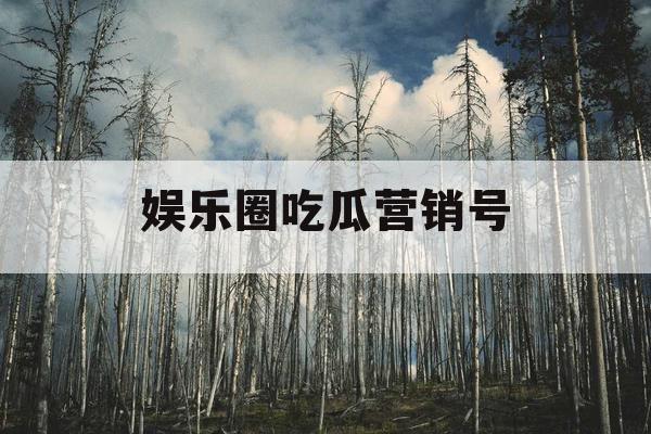 娱乐圈吃瓜营销号