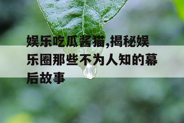 娱乐吃瓜酱猫,揭秘娱乐圈那些不为人知的幕后故事